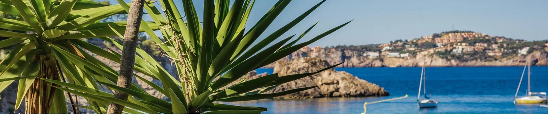 Découvrez Nos Hôtels de Plage, Famille et Luxe - BlueBay